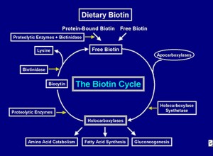 Biotin_Deficiency