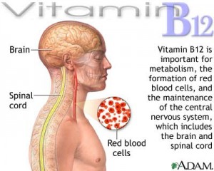 Vitamin B12 help in hair growth